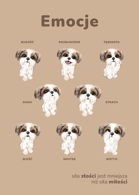 ZESTAW 3 PLAKATÓW "EMOCJE" 21CMX30CM - NEVERENDING STORE zdjęcie 3